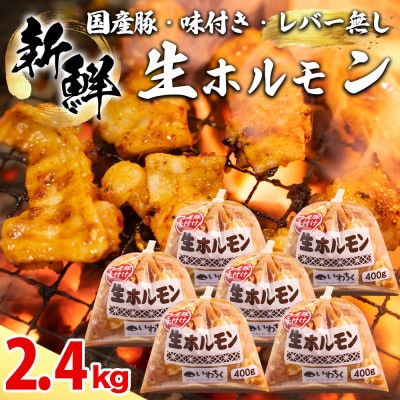 生ホルモン 国産豚 味付け レバー無し 2.4kg(400g×6パック) 冷凍 ホルモン