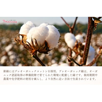 受注生産・職人手作りふとん tsumugi クッション【生成り】(45cm×45cm・1枚)