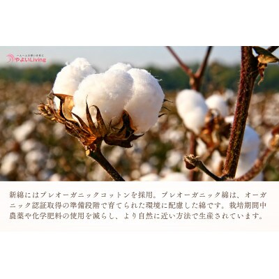 【お任せ柄】受注生産・職人手作りふとん tsumugi クッション(45cm×45cm・1枚)