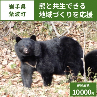 【返礼品なし】クマと里との境界の確保を目指して～熊出没防止対策・環境整備へのご支援を～10,000円 | ふるさと納税のお礼品