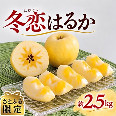 【先行予約】りんご 「冬恋」はるか 約2.5kg 糖度15度以上 蜜入り保証【さとふる限定】