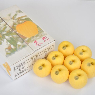 【先行予約】りんご 「冬恋」はるか 約2.5kg 糖度15度以上 蜜入り保証