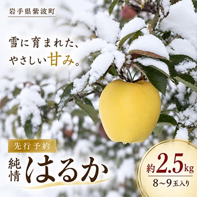 【先行受付】純情はるか 約2.5kg 糖度14度以上 岩手生まれの黄色りんご
