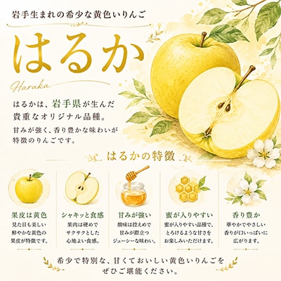 【先行受付】純情はるか 約2.5kg 糖度14度以上 岩手生まれの黄色りんご