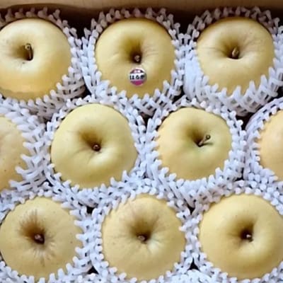 【ご家庭用】りんごはるか 計約3kg(6～11玉)