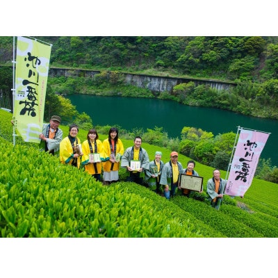 池川茶業組合の煎茶詰め合わせ