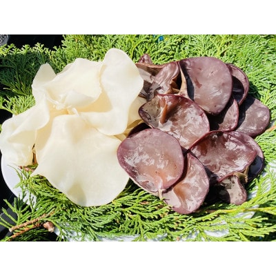 ◆期間限定「生」黒きくらげ(250g)と「生」白きくらげ (200g)2種セット(仁淀川町産)
