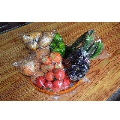 【地元で採れた野菜】源気屋　高原野菜セット
