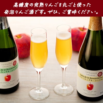 シードル　750mlツインセット(発泡りんご酒)　[R2-04-05]