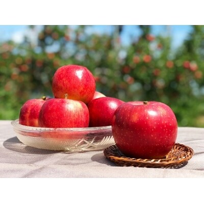 完熟りんご 千秋 約5kg 数量限定 R2 04 06 お礼品詳細 ふるさと納税なら さとふる