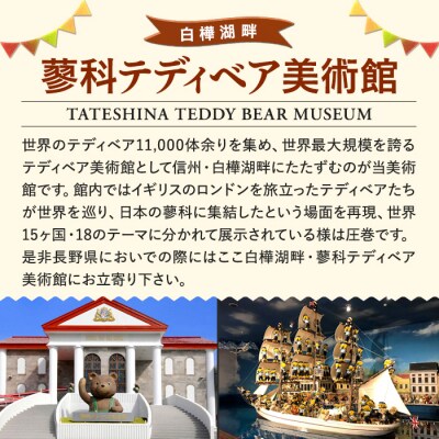 蓼科テディベア美術館　ペアご招待券&グッティー館長ぬいぐるみ　セット　[R2-10-03]
