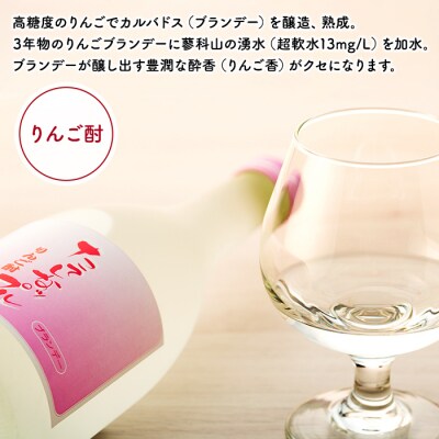【定期便】たてしなりんごのお酒飲み比べセット(4回お届け) [R3-04-09]