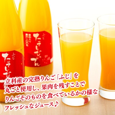 果肉入り林檎ジュース2本・おつまみセット[R3-04-10]