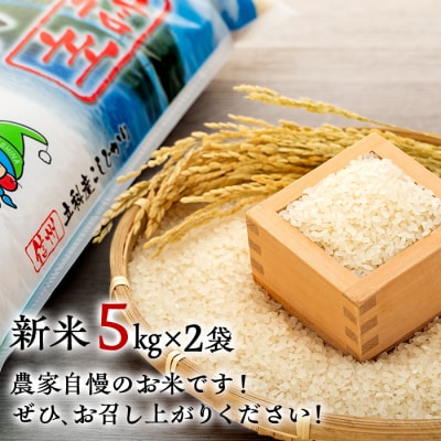 信州立科産コシヒカリ5kg×2袋(令和7年産新米)