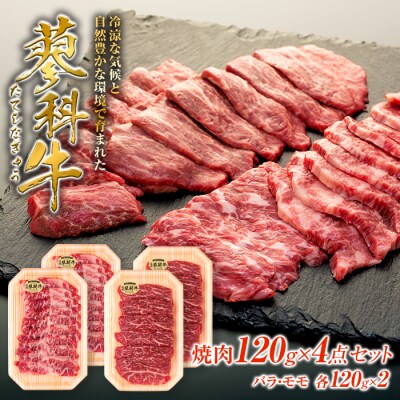 蓼科牛焼肉120g×4点パック(バラ・モモ各2パック)
