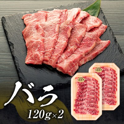 蓼科牛焼肉120g×4点パック(バラ・モモ各2パック)