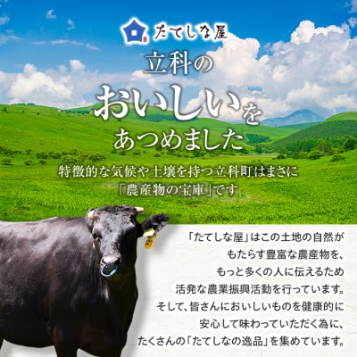 蓼科牛サーロインステーキ200g×2