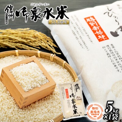 【令和8年産米】 信州たてしな産 御泉水米 こしひかり (特別栽培米) 5kg