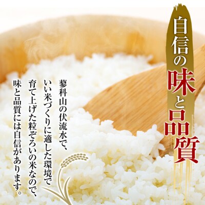【令和8年産米】 信州たてしな産 御泉水米 こしひかり (特別栽培米) 5kg