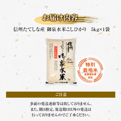 【令和8年産米】 信州たてしな産 御泉水米 こしひかり (特別栽培米) 5kg