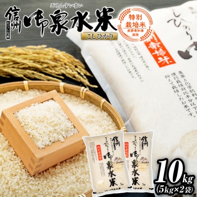 【令和8年産米】 信州たてしな産 御泉水米 こしひかり (特別栽培米) 10kg