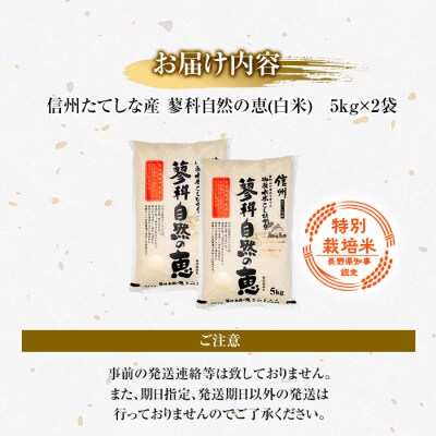 【令和8年産米】 信州たてしな産 蓼科自然の恵 (白米) 10kg