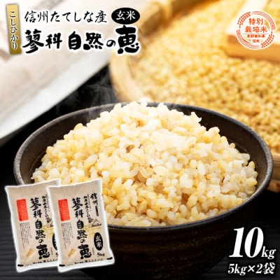 【令和8年産米】信州たてしな産 蓼科自然の恵 (玄米) 10kg