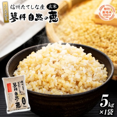 【令和8年産米】 信州たてしな産 蓼科自然の恵 (玄米) 5kg