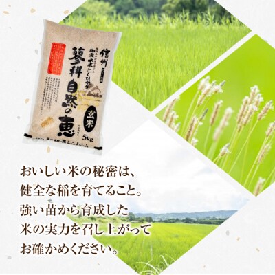 【令和8年産米】 信州たてしな産 蓼科自然の恵 (玄米) 5kg