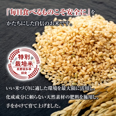 【令和8年産米】 信州たてしな産 蓼科自然の恵 (玄米) 5kg
