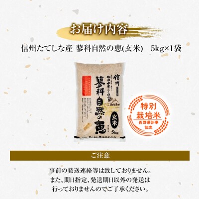 【令和8年産米】 信州たてしな産 蓼科自然の恵 (玄米) 5kg