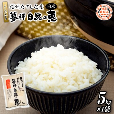 【令和8年産米】 信州たてしな産 蓼科自然の恵 (白米) 5kg