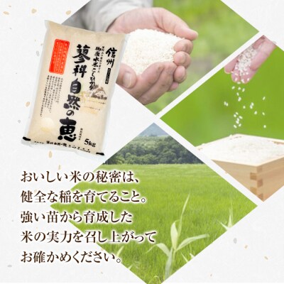 【令和8年産米】 信州たてしな産 蓼科自然の恵 (白米) 5kg