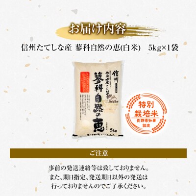 【令和8年産米】 信州たてしな産 蓼科自然の恵 (白米) 5kg