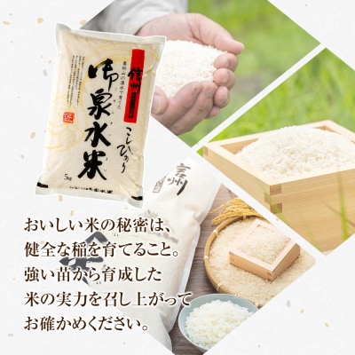 【令和8年産米】 信州たてしな産 御泉水米こしひかり10kg
