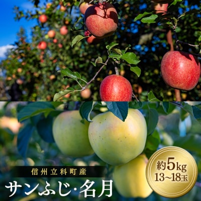 サンふじ・ぐんま名月ミックス(約5kg、優13～18玉)　