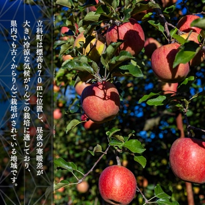 サンふじ・ぐんま名月ミックス(約5kg、優13～18玉)　