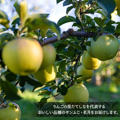 サンふじ・ぐんま名月ミックス(約5kg、優13～18玉)　