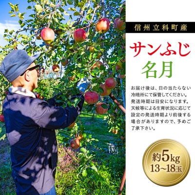 サンふじ・ぐんま名月ミックス(約5kg、優13～18玉)　