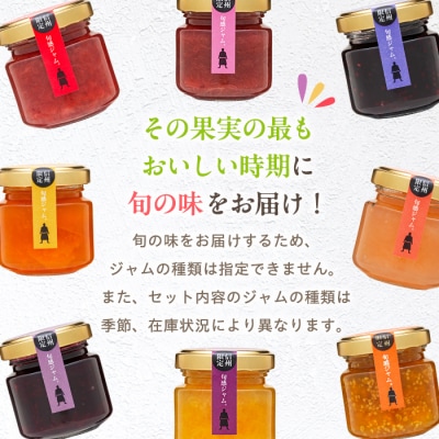 信州の旬感プチジャム8色詰合せ