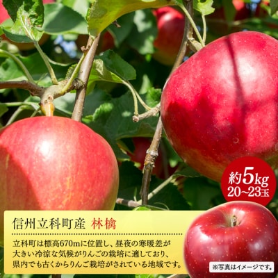 紅玉(約5kg、優20～23玉)