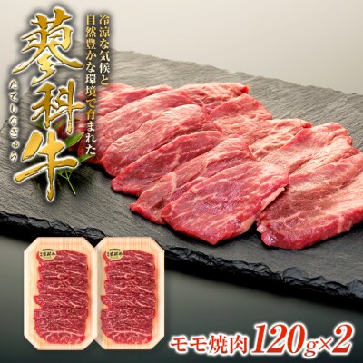 蓼科牛モモ焼肉120g×2　　　　