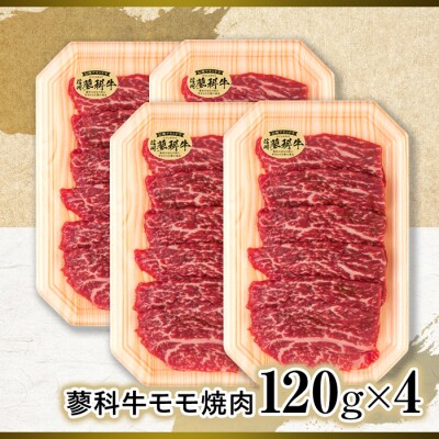 蓼科牛モモ焼肉120g×4　　　　