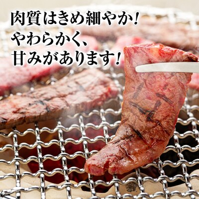 蓼科牛バラ焼肉120g×2　　　　