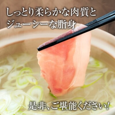 立科高原豚ロース薄切りスライス450g×2　　　　
