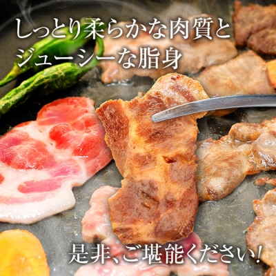 立科高原豚肩ロース焼肉用400g×2　　　