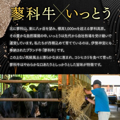 蓼科牛 定番焼肉セット　