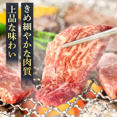 蓼科牛 上焼肉セット　
