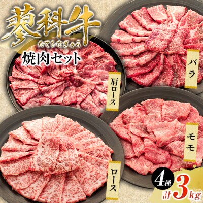 蓼科牛焼肉セット2(ロース200g×4、モモ350g×2、バラ350g×2、肩ロース400g×2)