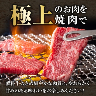 蓼科牛・立科高原豚焼肉セット(牛ロース・牛モモ・牛バラ・牛肩ロース・豚肩ロース)